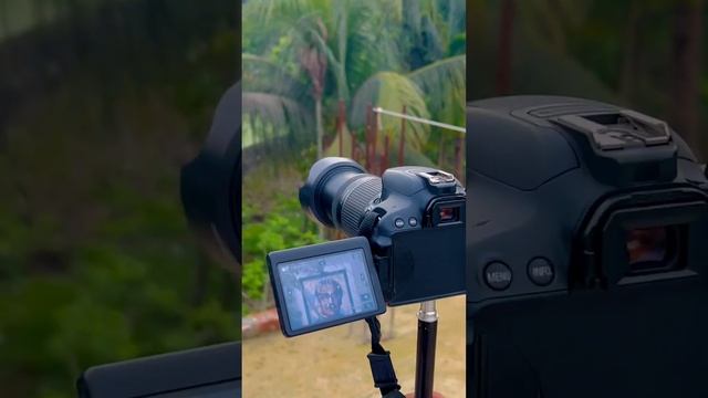 canon 650d with 55-250mm lens joom test #photography #foryou #video #viral смотреть онлайн