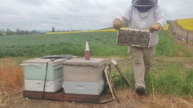 21 апреля 2020 что творится на рапсе смотреть онлайн