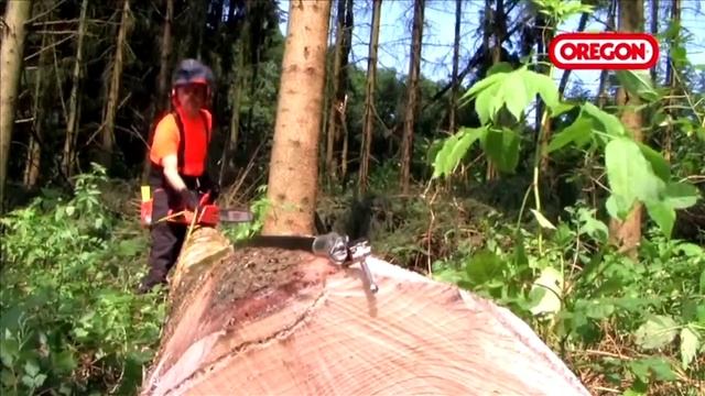 Рулетка измерительная OREGON