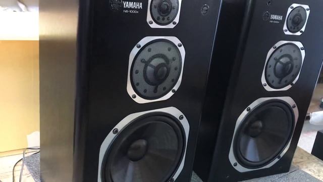 (видео по просьбе пользователя) The best Trans , Madison Square Garden by Olander-NS-1000x смотреть онлайн