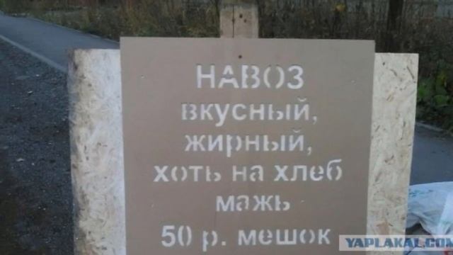 ЗАКОН О НАВОЗЕ !!! смотреть онлайн