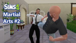 The Sims 4 Martial Arts Animations #2  - Download