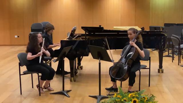 Weber- Trio in Gm for Flute, Violincello and piano, 2nd mov. Scherzo смотреть онлайн