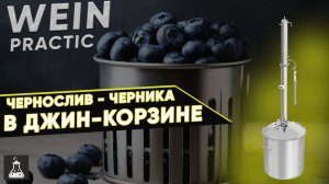 Wein Practic. 3 перегон с джин-корзиной. Чернослив - черника