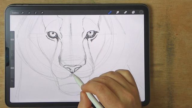 EASY Step by Step Guide for Drawing a Realistic Tiger смотреть онлайн