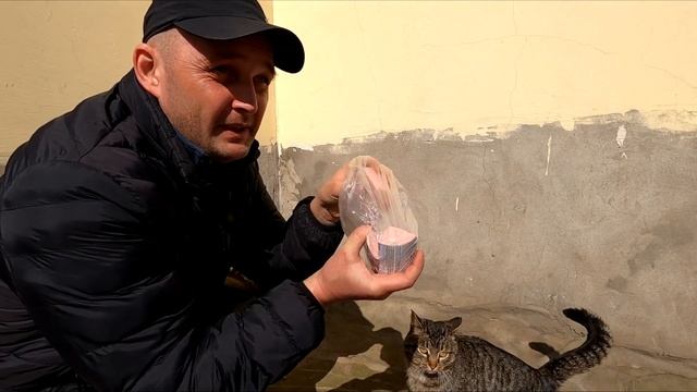 В деревне отключили свет! Чем занимаемся? смотреть онлайн