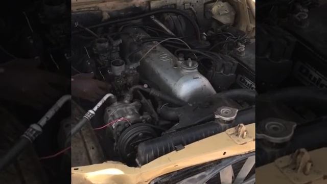 W114 1974 Mercedes Benz 230.6 A Luv Collection