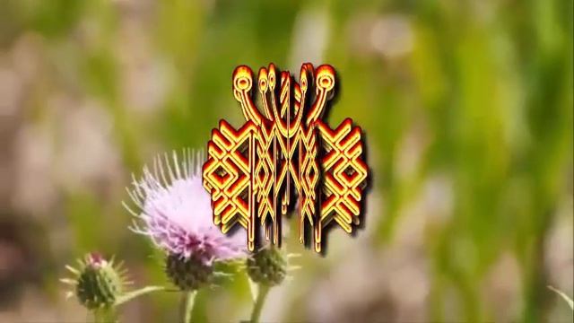 ?МЕДИТАЦИЯ для творческой реализации #5 смотреть онлайн