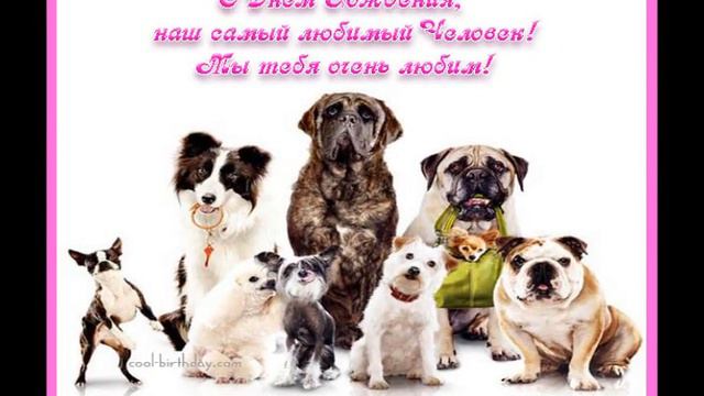 Кокоса с днем варенья смотреть онлайн