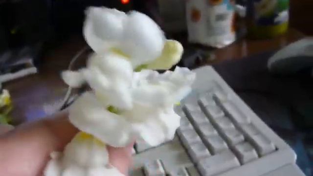 Lwia paszcza Antirrhinum majus смотреть онлайн