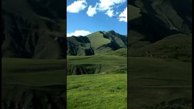 маг!ишат смотреть онлайн