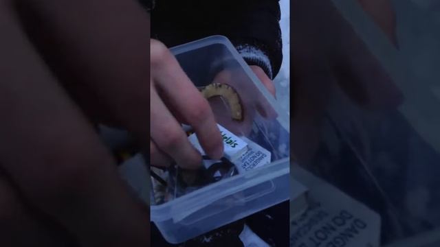 Клад на Красноярских Столбах смотреть онлайн