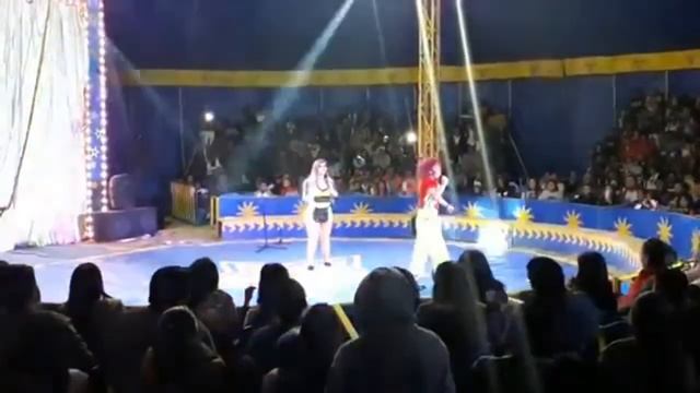 Circo de lapizin. смотреть онлайн