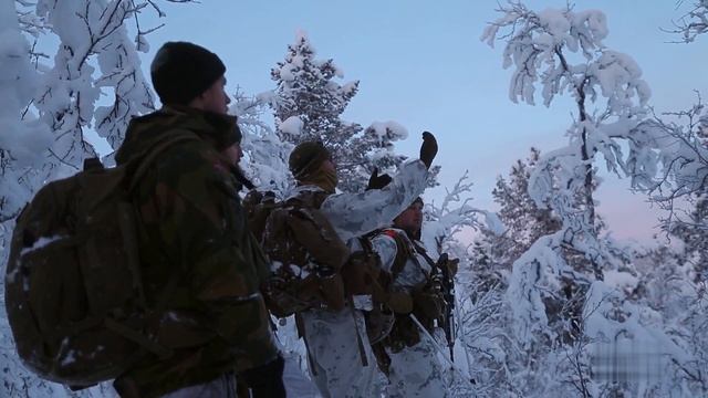 Тренировка морских пехотинцев в Арктике смотреть онлайн