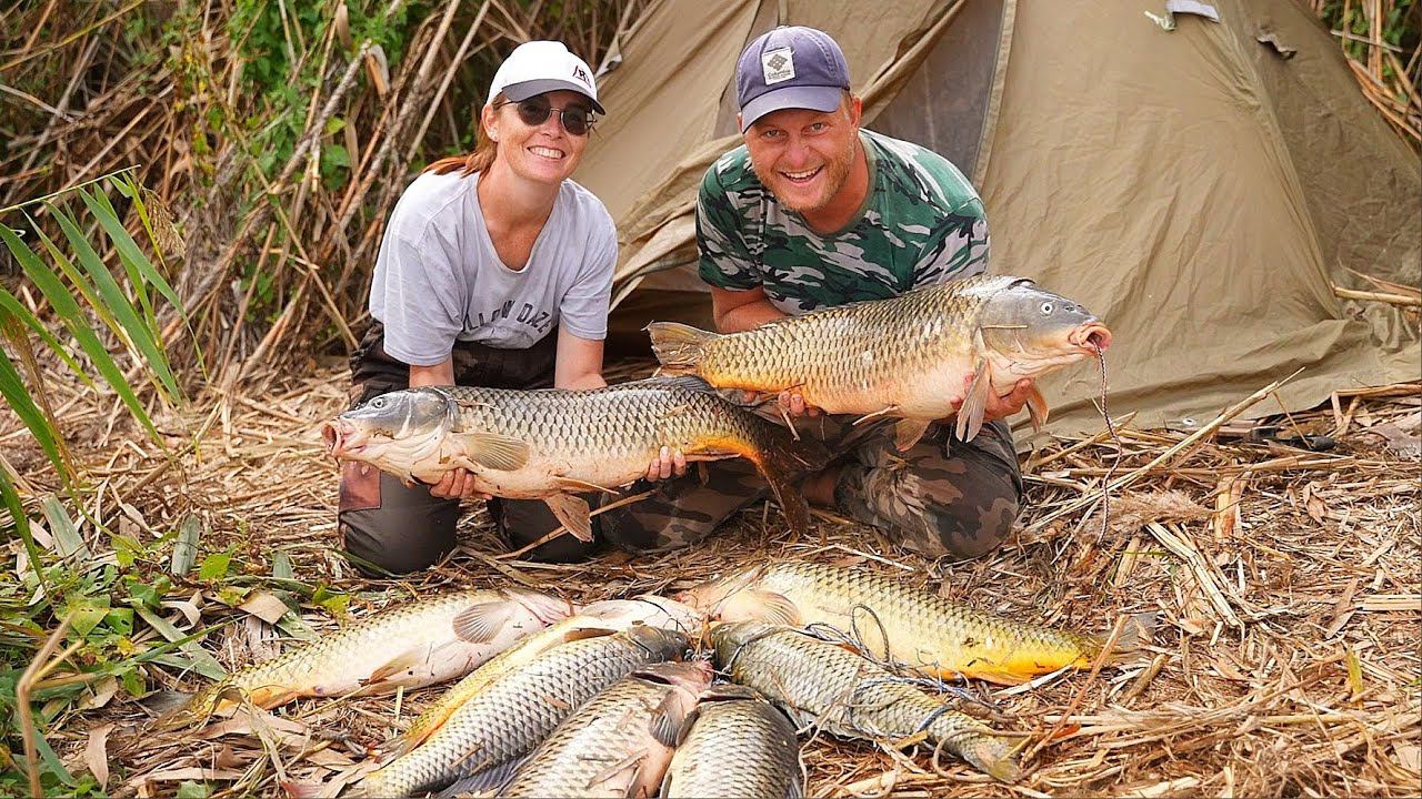 ВОТ ЭТО РЫБАЛКА! БЕШЕНЫЙ КЛЁВ САЗАНА. Рыбалка с ночёвкой на закидушки. Ловля сазана на жмых, макуху смотреть онлайн