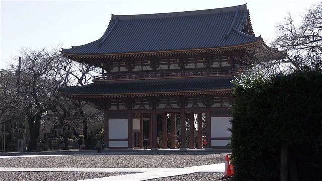 Panasonic AG UX180 UHD60p смотреть онлайн