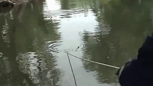 Водолазы нашли труп ребенка в реке Латорица 18+ / Divers found the body of the child смотреть онлайн