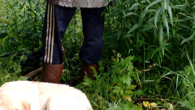 Натаска 27.06.15 г. Ярославль смотреть онлайн