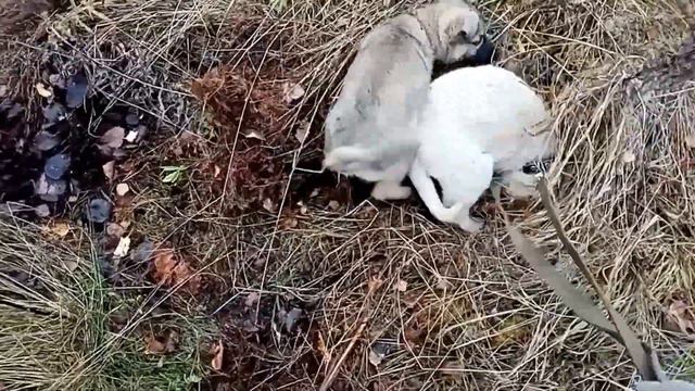 Буря и Угля смотреть онлайн
