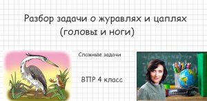 Разбор задачи "О журавлях и цаплях" (Курс: "Головы и ноги". Урок 2)