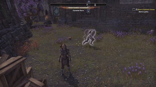 The Elder scrolls online. Как приготовить курицу! Где добыть белое мясо и птицу для снабжения смотреть онлайн