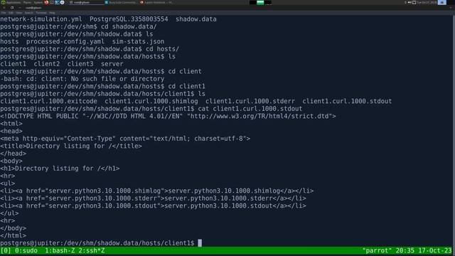 HackTheBox - Jupiter смотреть онлайн