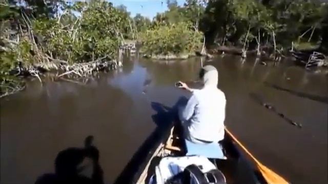 Реакция на крокодила смотреть онлайн