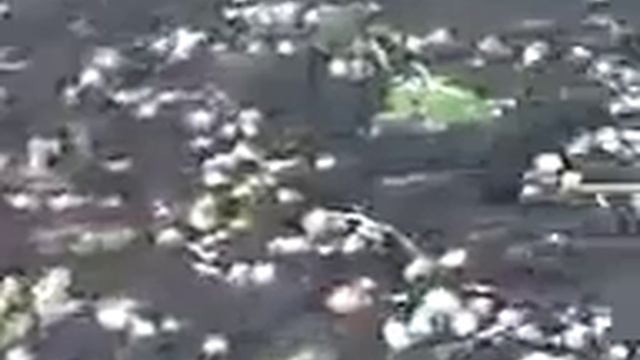 сколько картошки смотреть онлайн