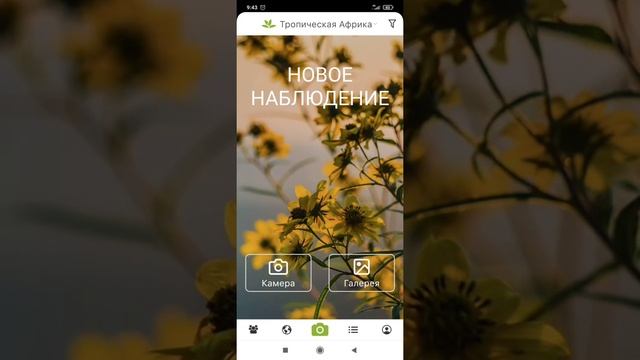 Идентификация растений, plantnet plant identification. смотреть онлайн