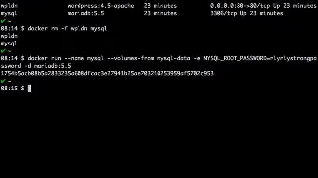 Docker deep dive for WordPress Admins - Slide 19 - Data containers смотреть онлайн