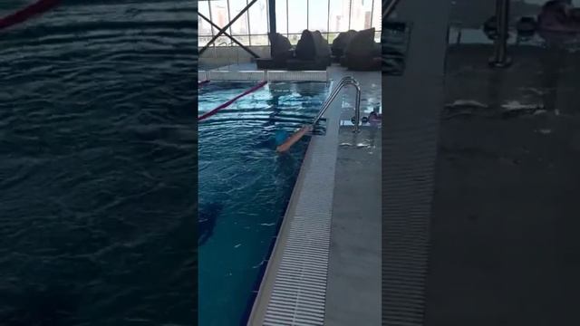 прыгаю в бассейн (занимаюсь с тренером) #рекоммендации #бассейн #плаванье смотреть онлайн
