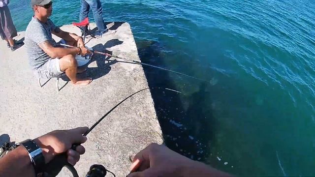 Ловля саргана на пилькер. Рыбалка на Черном море. смотреть онлайн
