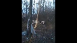 «Реальный Ырка» Мифологическое существо Напало на село! Жуткие Существа на видео