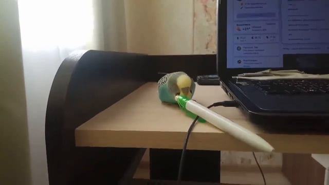 КИНА не БУДЕТ смотреть онлайн