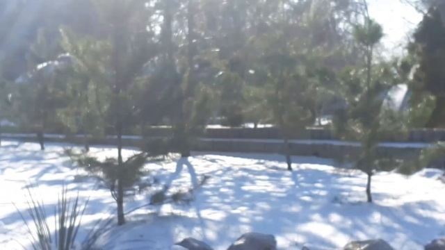 Вот это улов ?? Чудом устояла на ногах ! смотреть онлайн