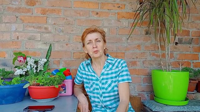 Обо всем понемногу🏡😺Славянск 15 мая 2023 смотреть онлайн