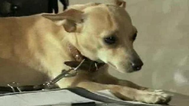 Короли игры e02 смотреть онлайн