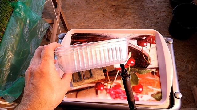 Как вырастить микрозелень горошка Бизнес на горошке Витамины в каждый дом смотреть онлайн