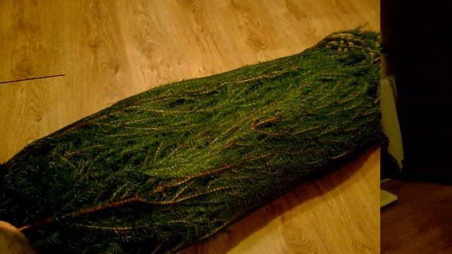 Установка новогодней ёлки!