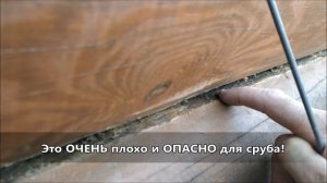 Как НЕ СГНОИТЬ дом конопаткой с канатиком. Ошибки конопатки и подвивки сруба канатом.