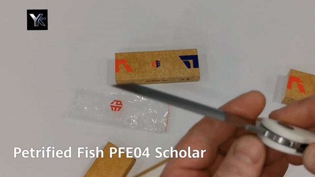 Petrified Fish PFE04 SCHOLAR смотреть онлайн