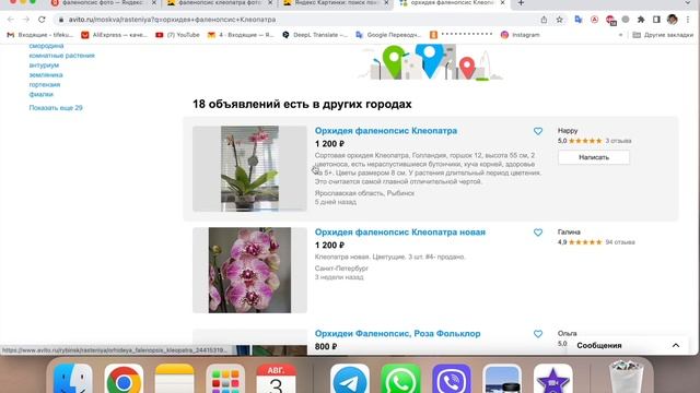 # 63 Узнайте, как просто легко и быстро определить название орхидеи #ЦветыОрхидеи смотреть онлайн