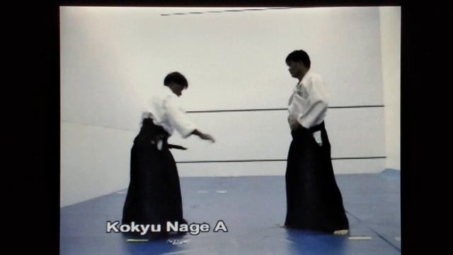 Aikido Curriculum; Lesson 5 смотреть онлайн