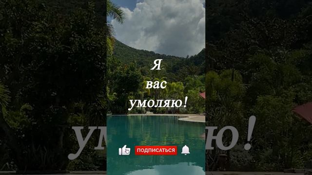 Как по дереву узнать ... смотреть онлайн