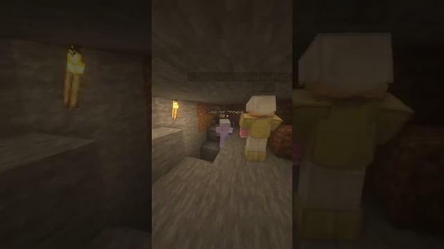 НА КАКОМ ЛУЧШЕ ИГРАТЬ СЕРВЕРЕ МАЙНКРАФТ? #minecraft #майнкрафт #shorts #политический #funtime смотреть онлайн