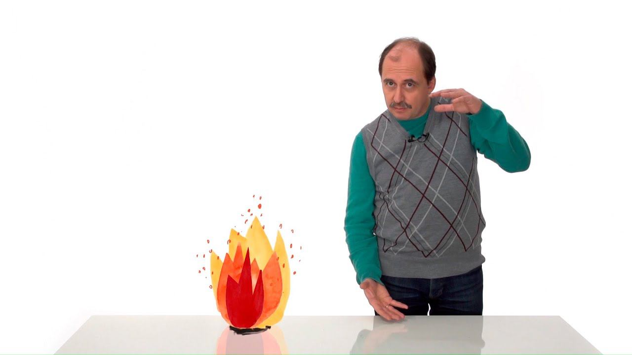 2. Чем живое отличается от неживого. Часть 2 смотреть онлайн