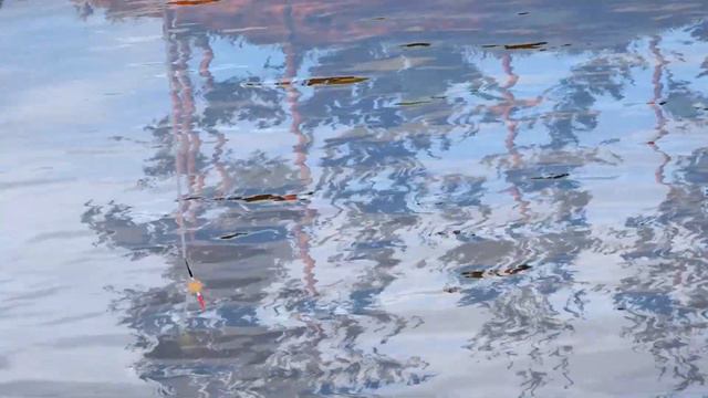 Russian Fishing 4 2022 Trailer смотреть онлайн