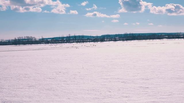 NEW VLOG #2 - Концерт в Мелеузе / Родная деревня Анвара Нургалиева смотреть онлайн