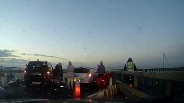 Тюлени...куда же вы летите? смотреть онлайн