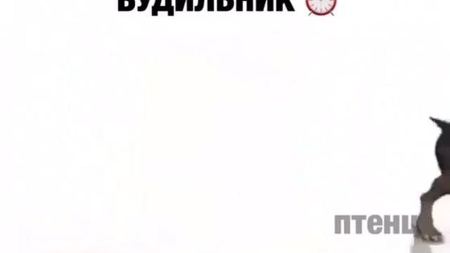 Как Сделать с Вдохновением и Умением